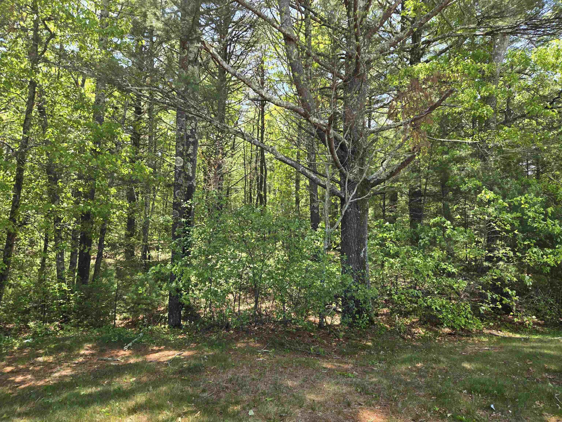 10 Issax Fox Road Campton NH 03223