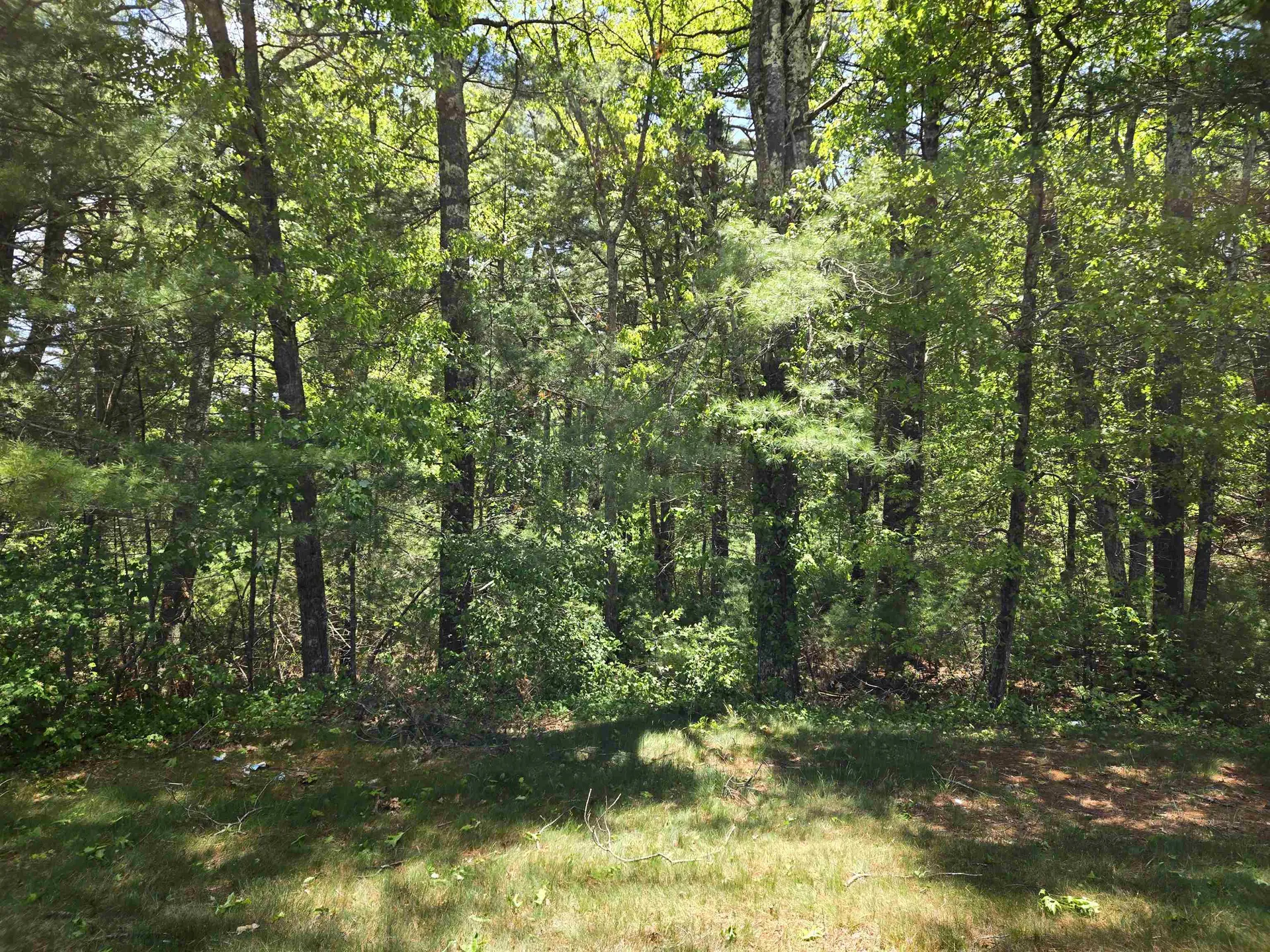 10 Issax Fox Road Campton NH 03223