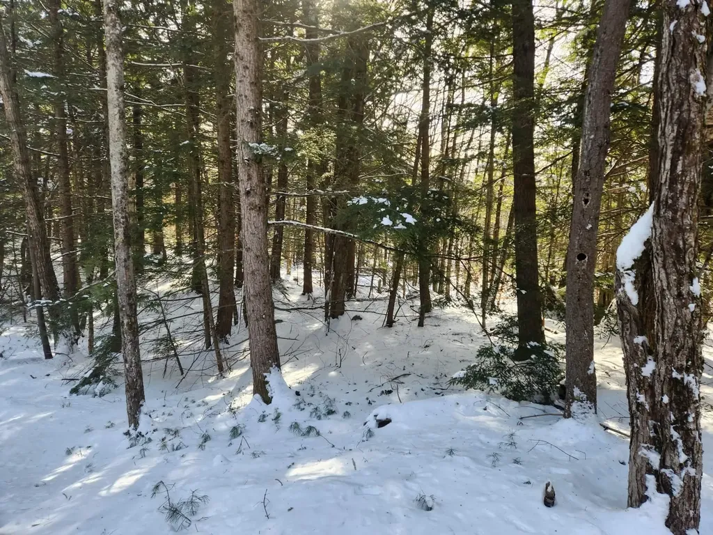 42 Cedar Drive Gilmanton NH 03237