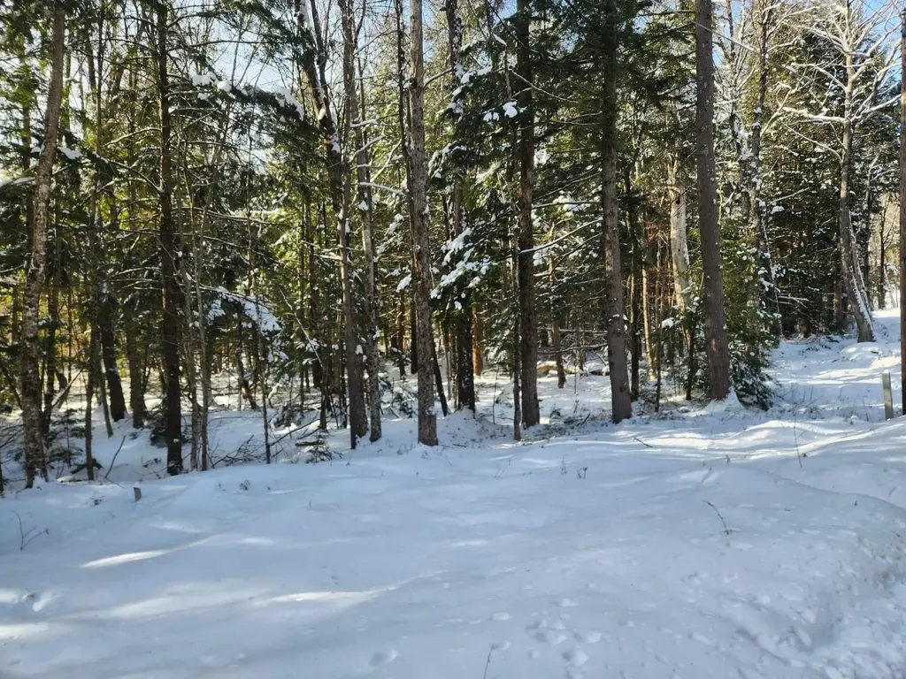 42 Cedar Drive Gilmanton NH 03237