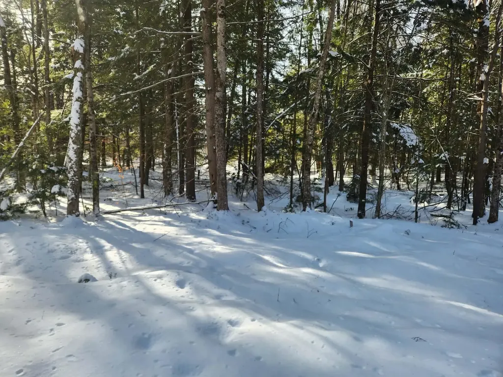 42 Cedar Drive Gilmanton NH 03237