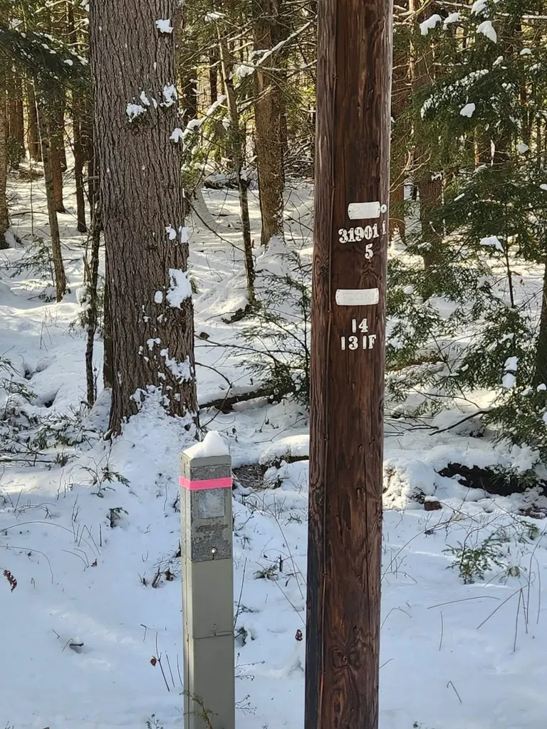 42 Cedar Drive Gilmanton NH 03237