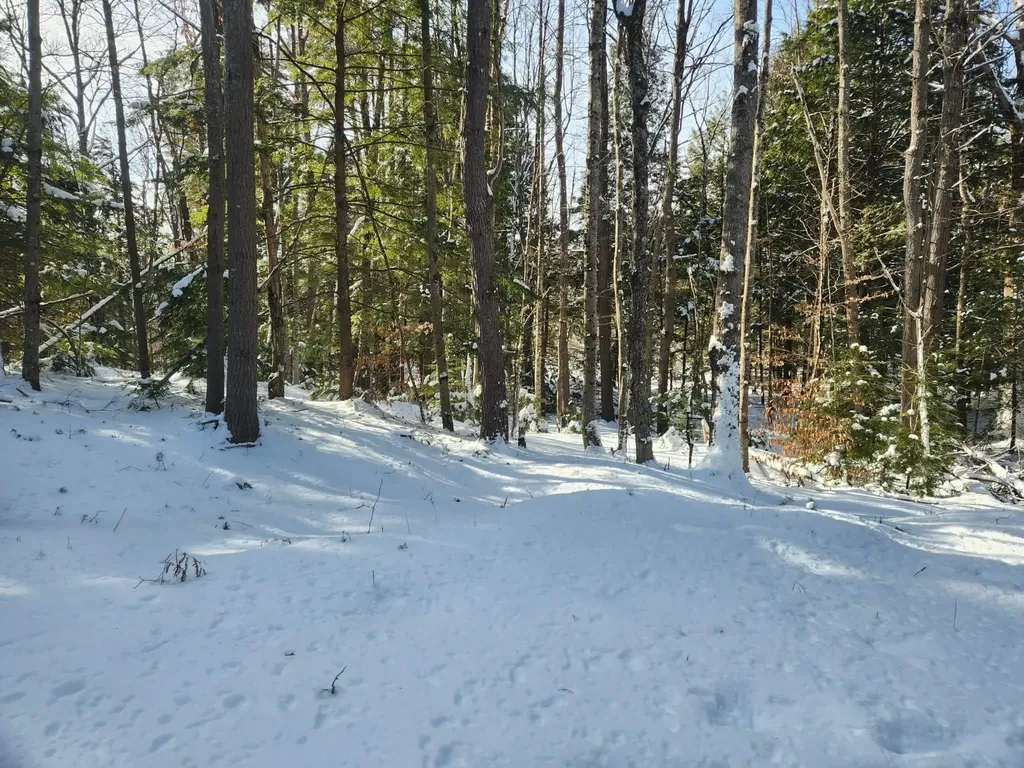 42 Cedar Drive Gilmanton NH 03237