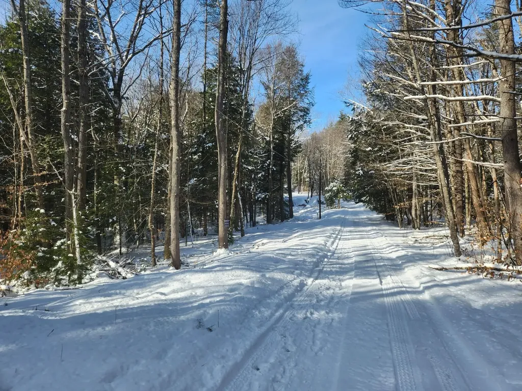 42 Cedar Drive Gilmanton NH 03237