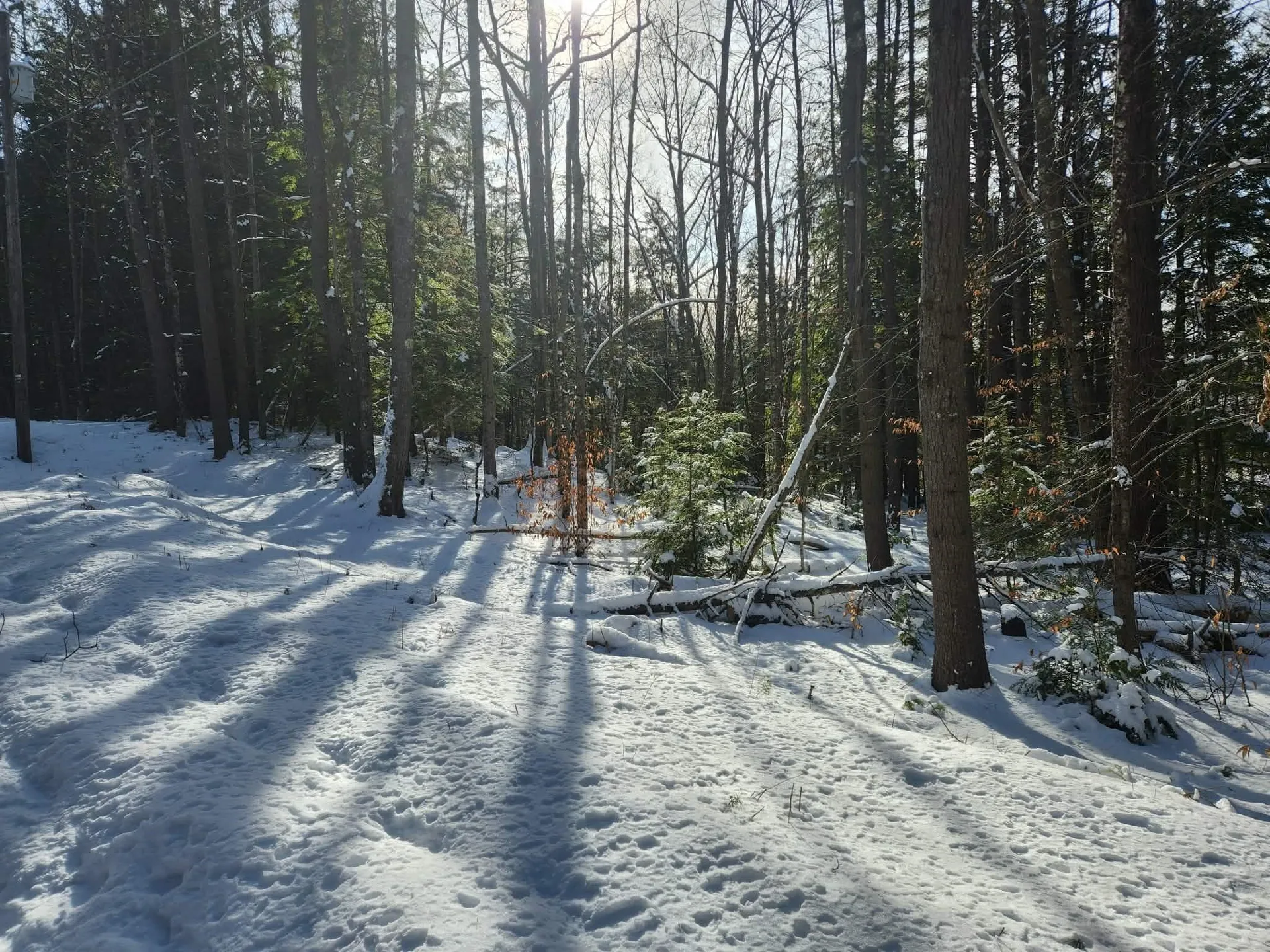 11 Cedar Drive Gilmanton NH 03237