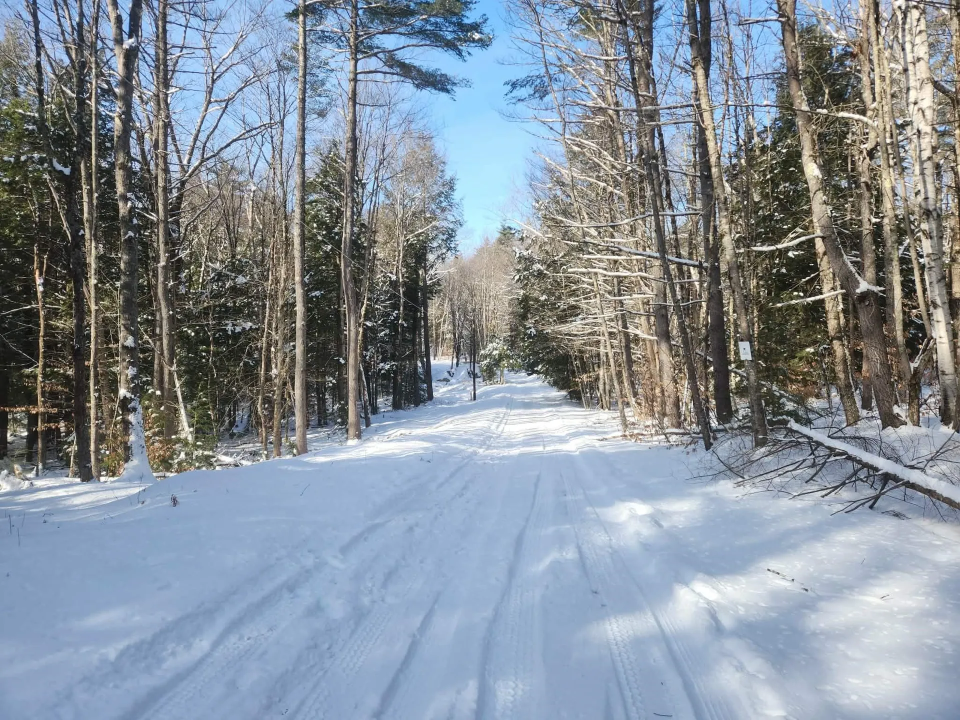 42 Cedar Drive Gilmanton NH 03237