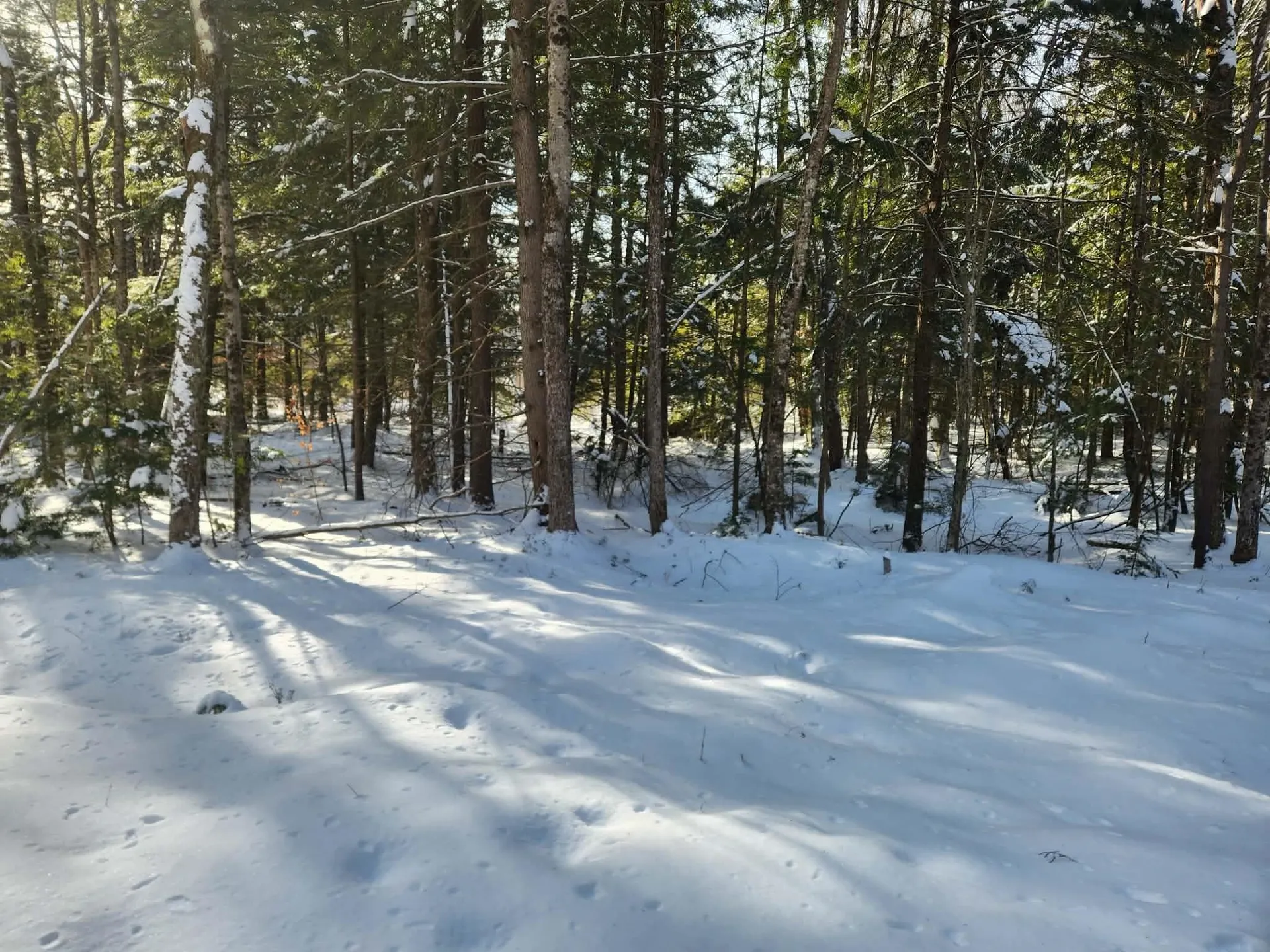 42 Cedar Drive Gilmanton NH 03237