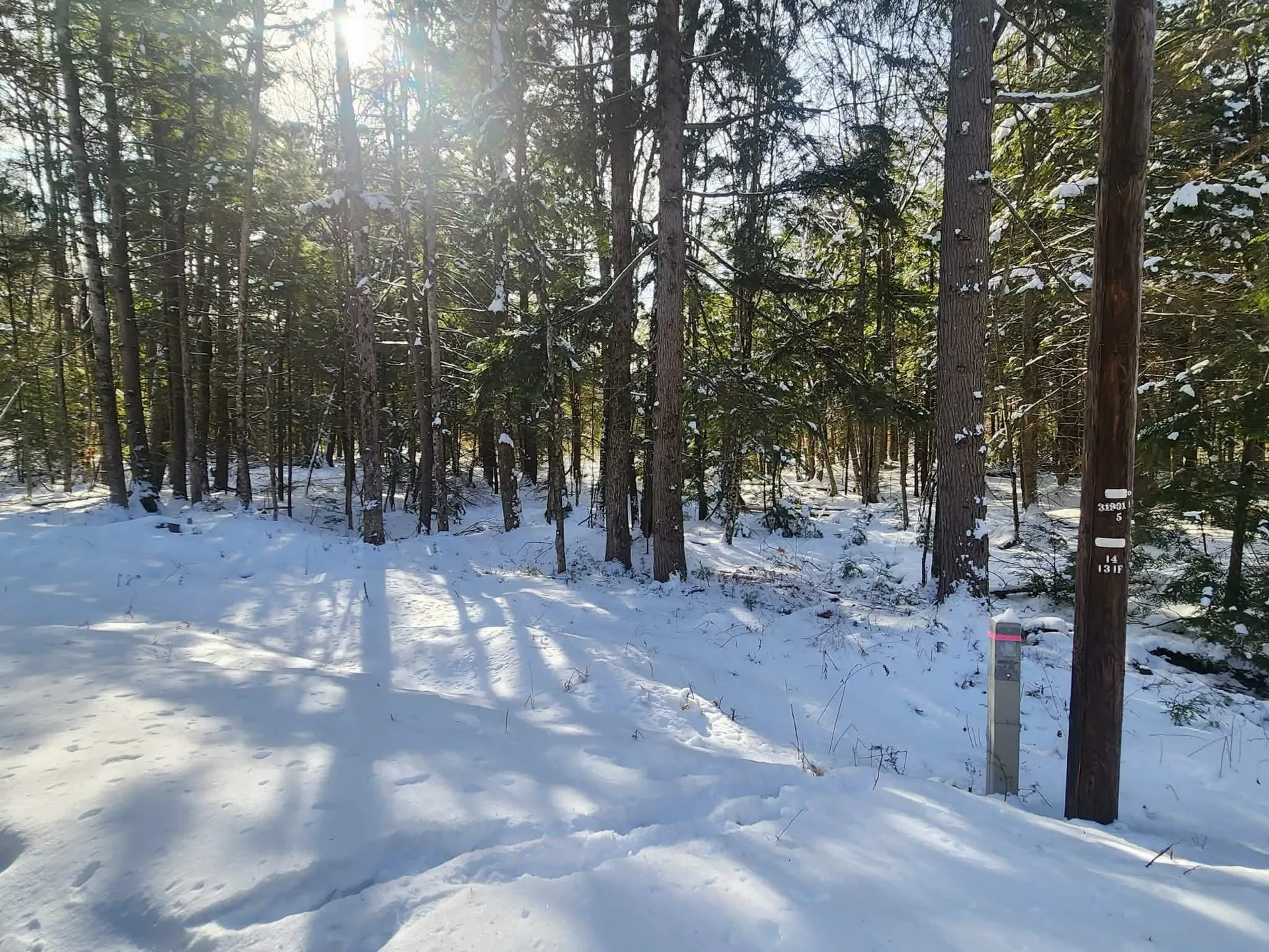 42 Cedar Drive Gilmanton NH 03237