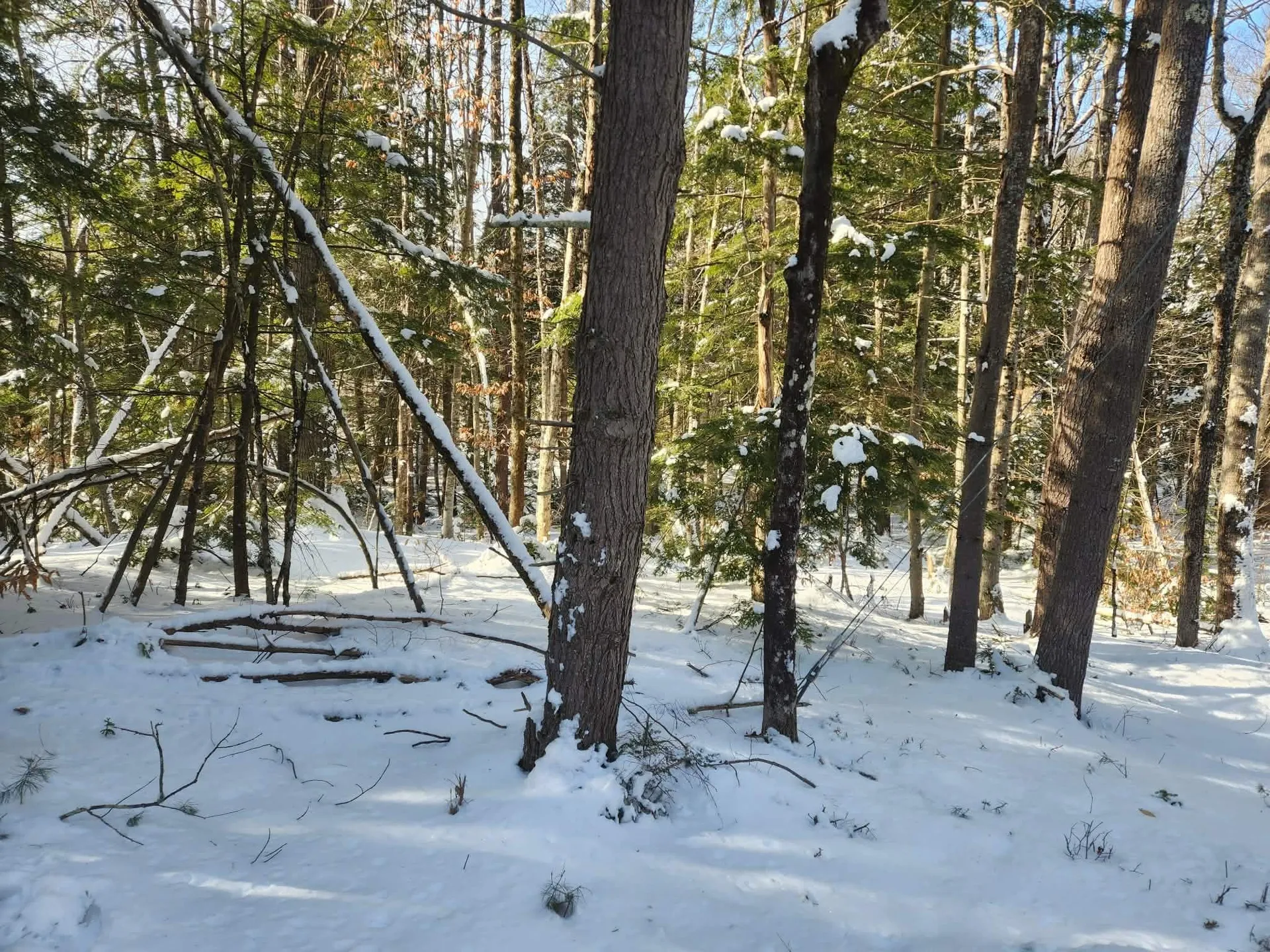 42 Cedar Drive Gilmanton NH 03237