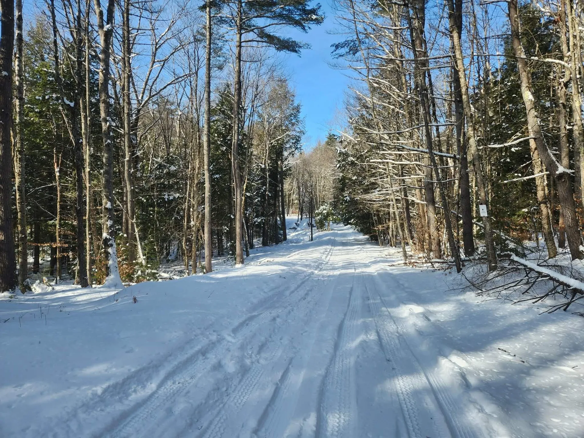 42 Cedar Drive Gilmanton NH 03237