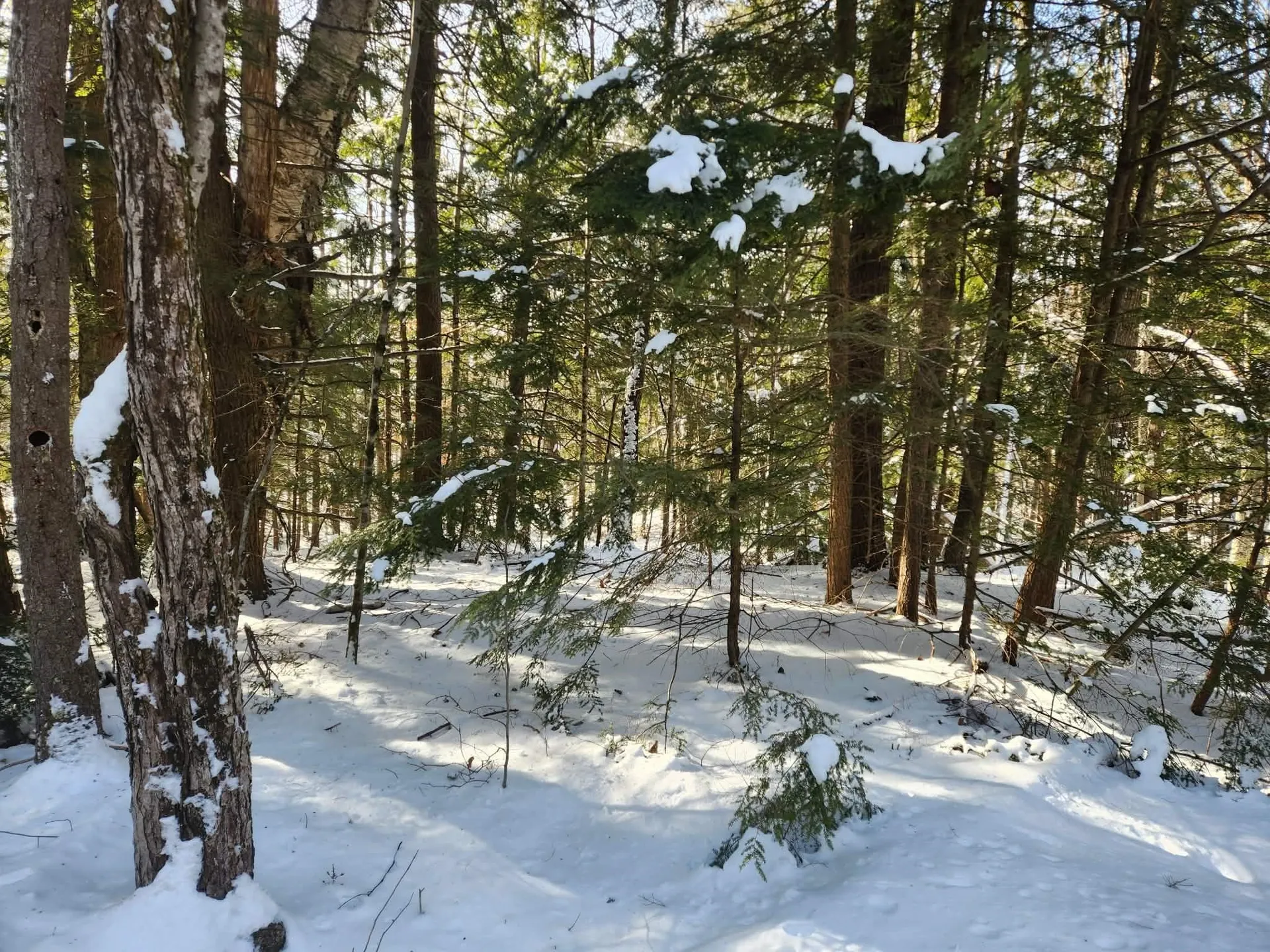 42 Cedar Drive Gilmanton NH 03237