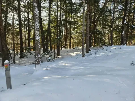 42 Cedar Drive Gilmanton NH 03237