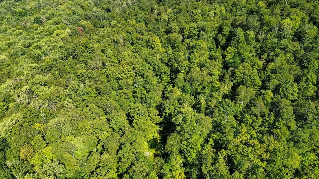00 Beaver Pond Road Hinesburg VT 05461