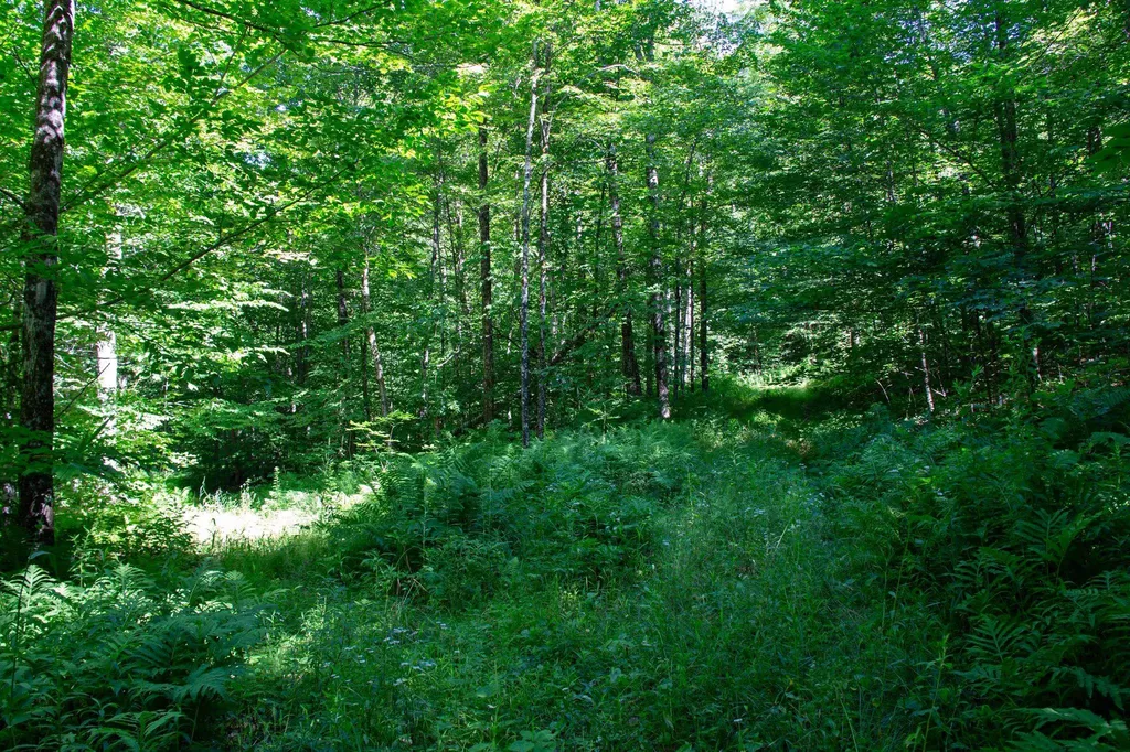 00 Beaver Pond Road Hinesburg VT 05461