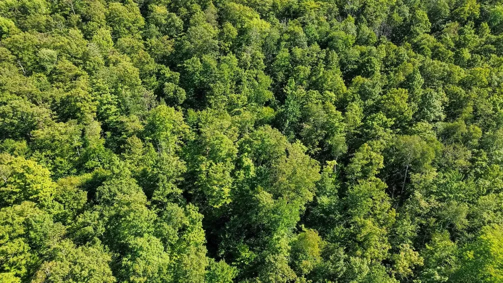 00 Beaver Pond Road Hinesburg VT 05461