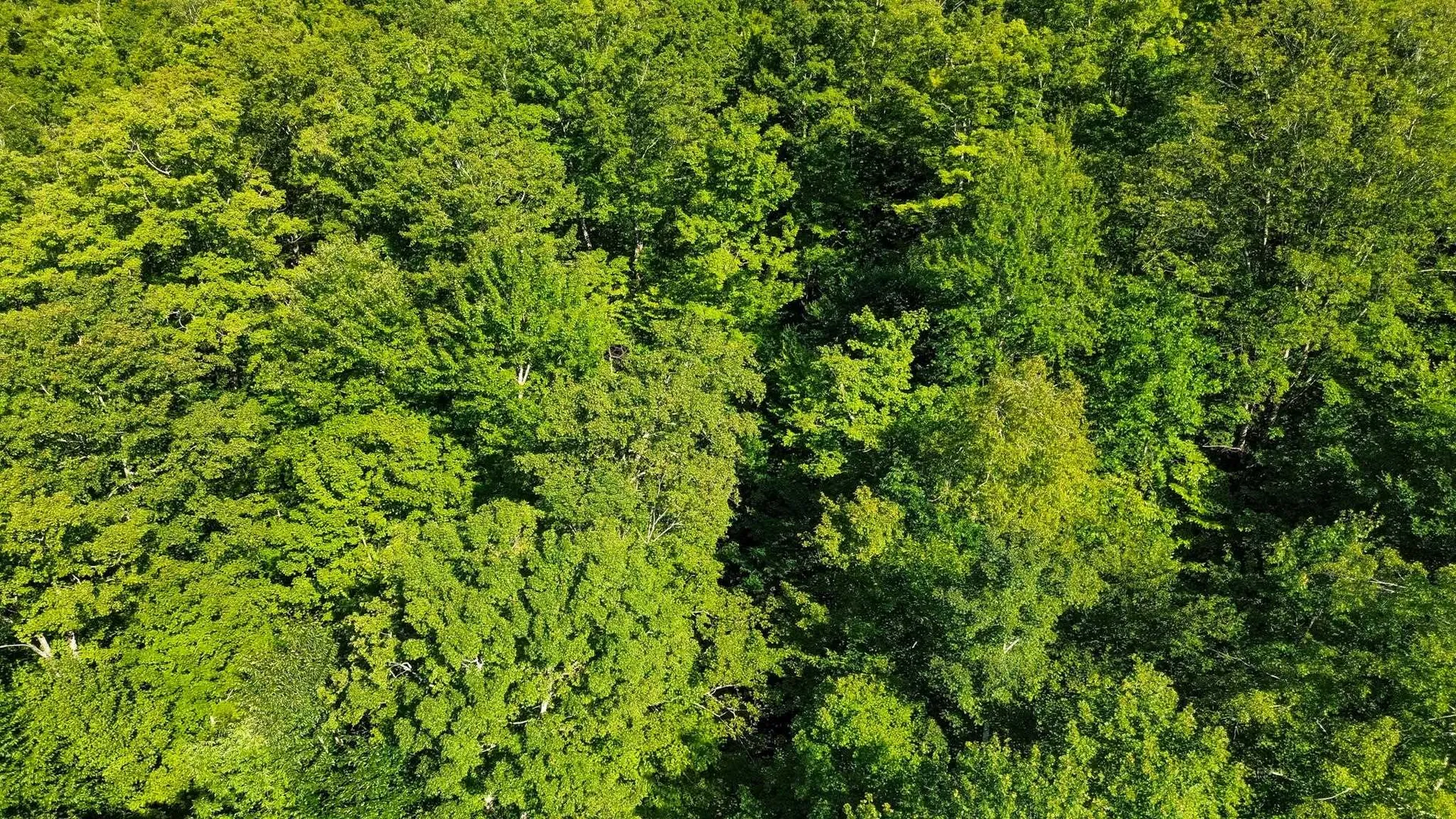 00 Beaver Pond Road Hinesburg VT 05461