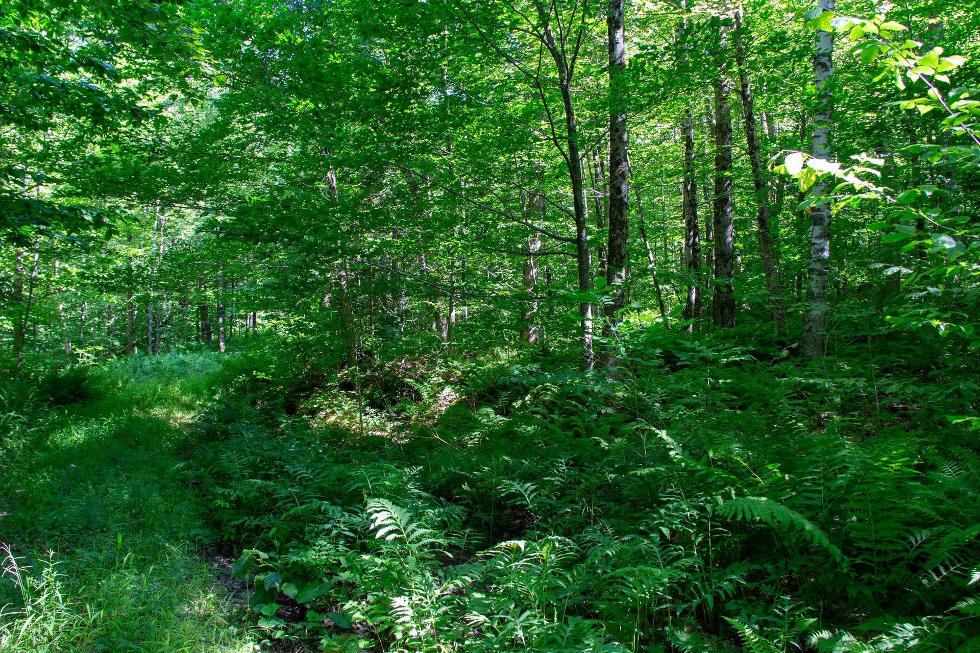 00 Beaver Pond Road Hinesburg VT 05461