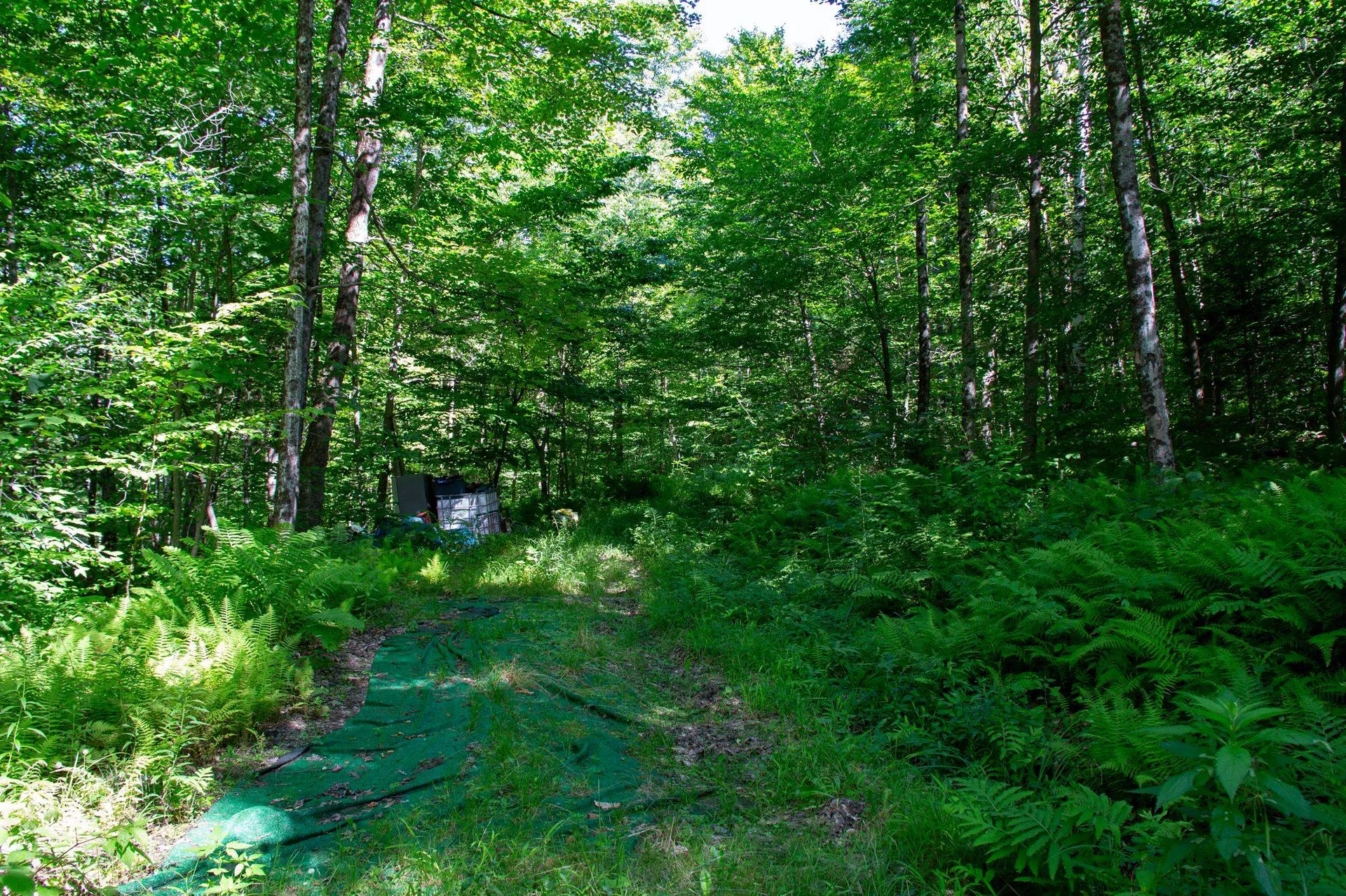 00 Beaver Pond Road Hinesburg VT 05461