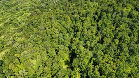 00 Beaver Pond Road Hinesburg VT 05461