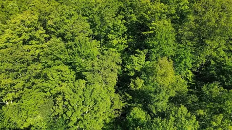 00 Beaver Pond Road Hinesburg VT 05461