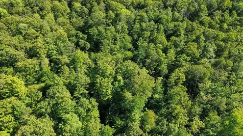 00 Beaver Pond Road Hinesburg VT 05461