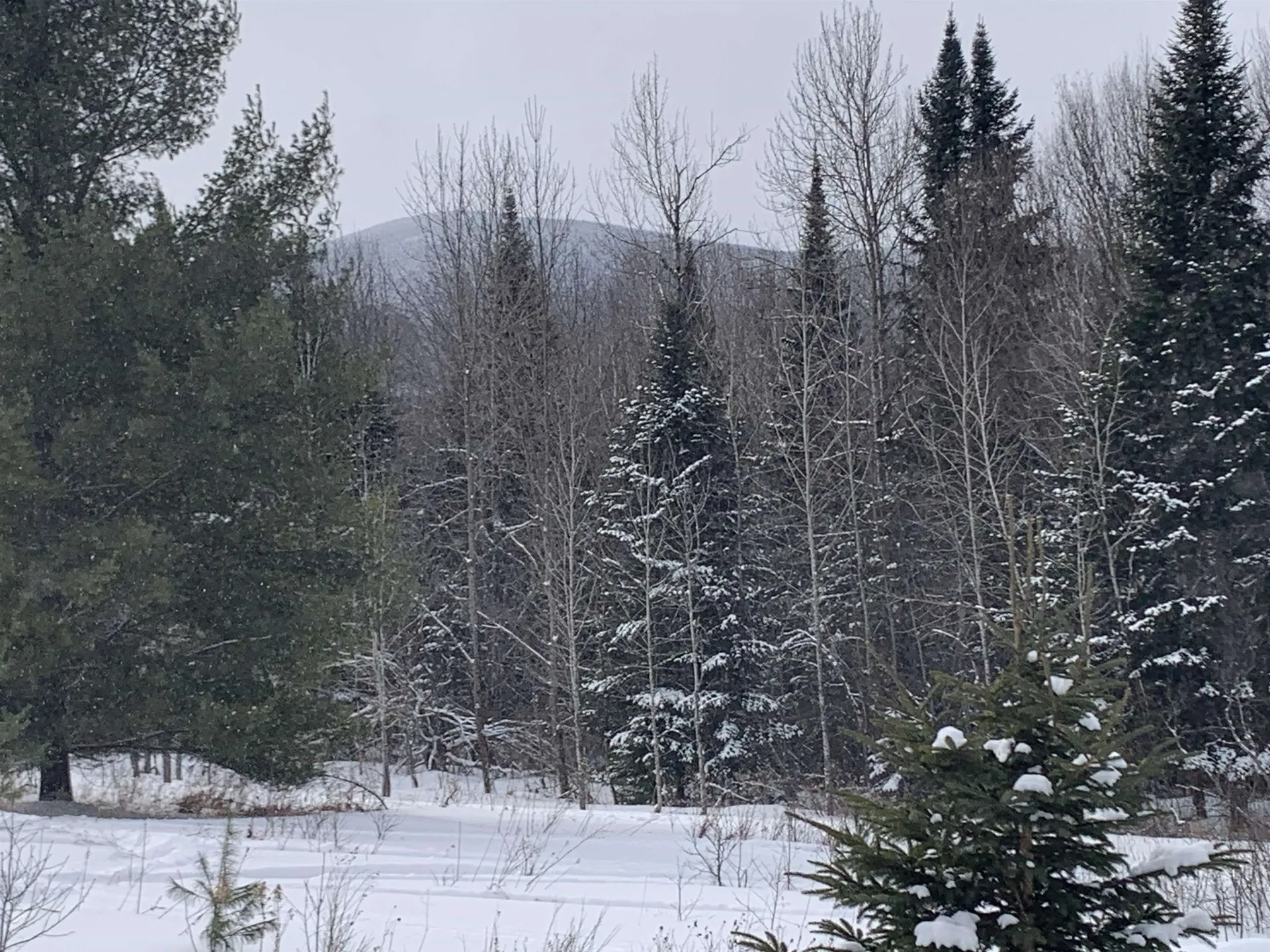 Tbd Oakes Road Columbia NH 03576