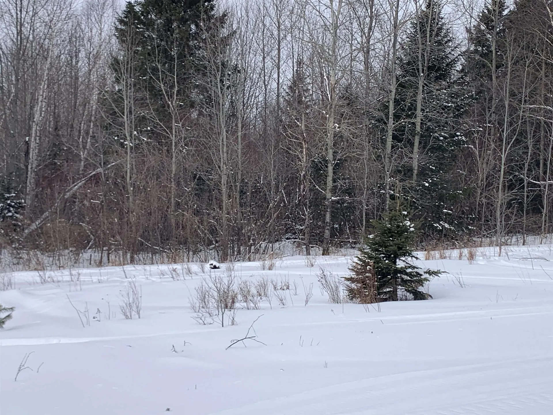 Tbd Oakes Road Columbia NH 03576