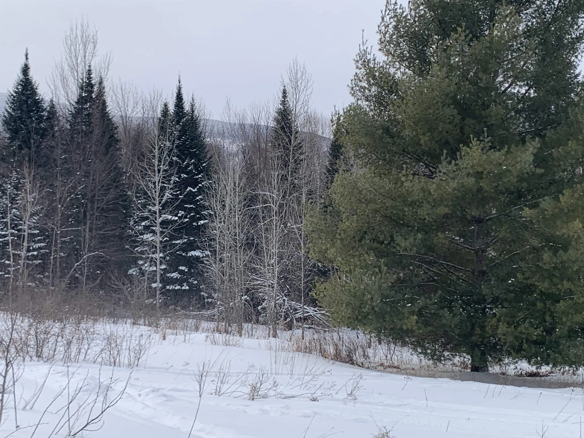 Tbd Oakes Road Columbia NH 03576