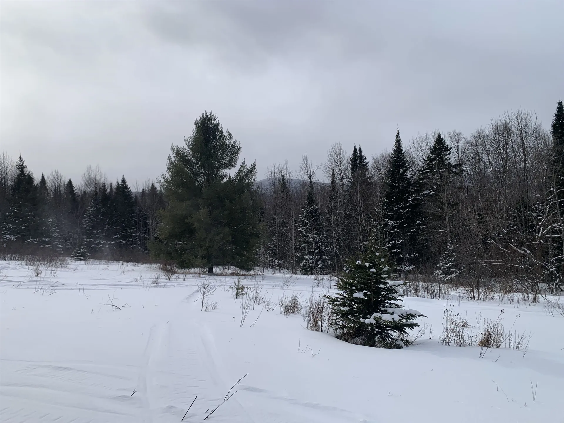 Tbd Oakes Road Columbia NH 03576