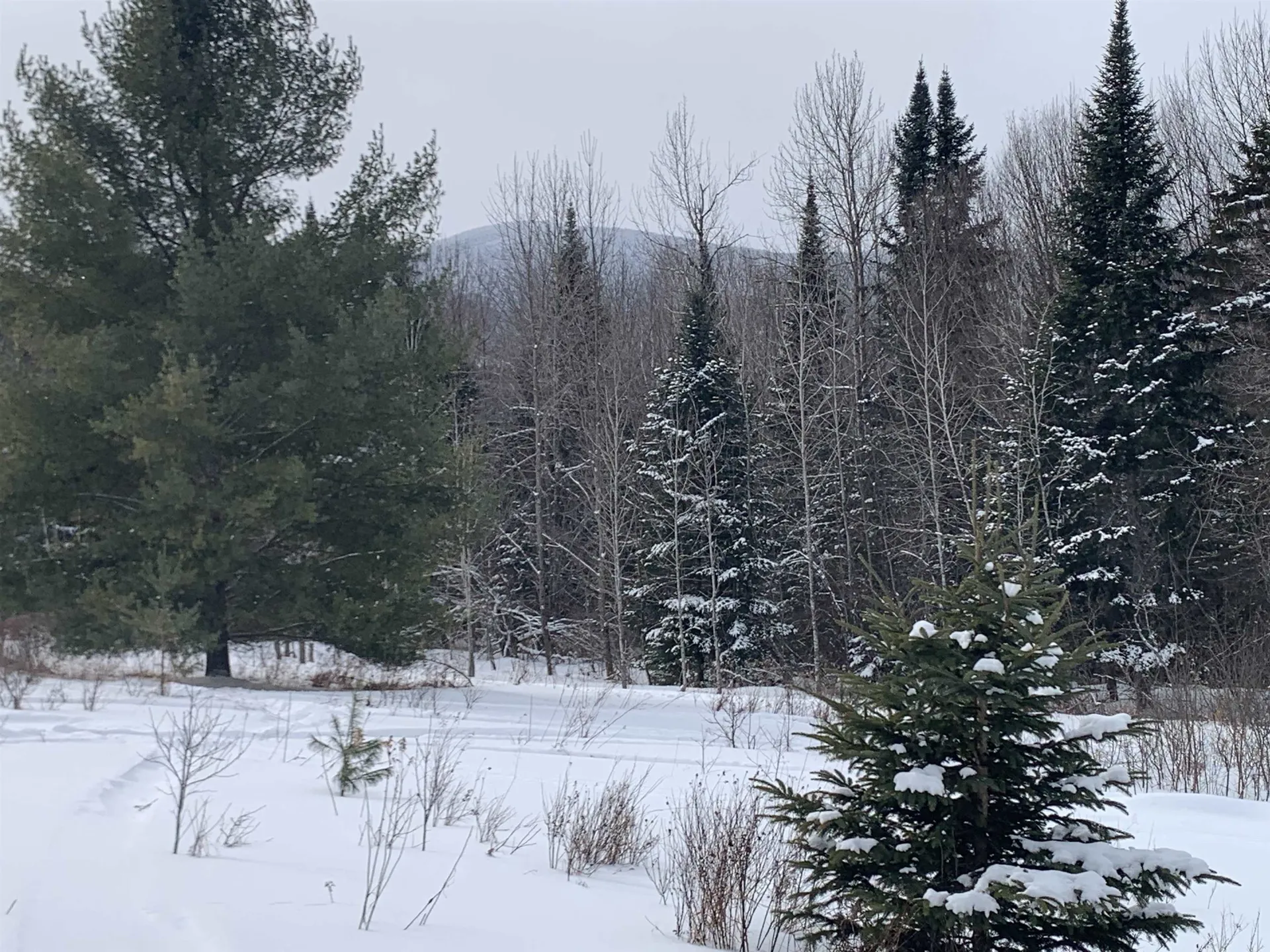 Tbd Oakes Road Columbia NH 03576