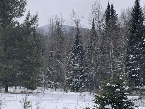 Tbd Oakes Road Columbia NH 03576