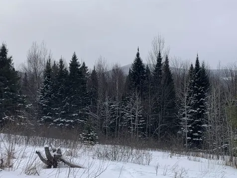 Tbd Oakes Road Columbia NH 03576