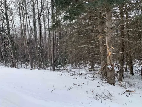 Tbd Oakes Road Columbia NH 03576