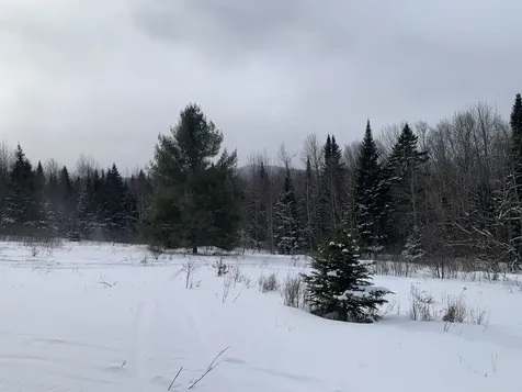 Tbd Oakes Road Columbia NH 03576