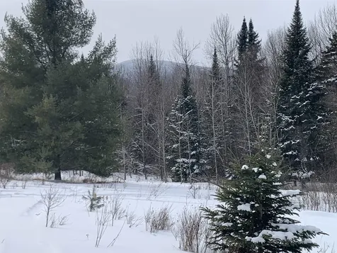 Tbd Oakes Road Columbia NH 03576