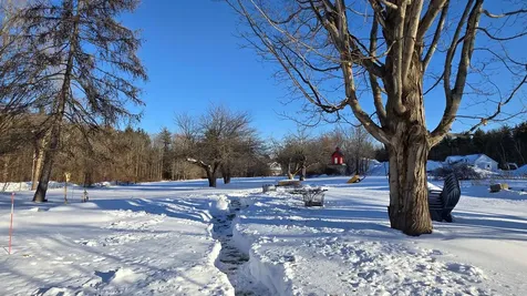 86 Raymond Road Chester NH 03036