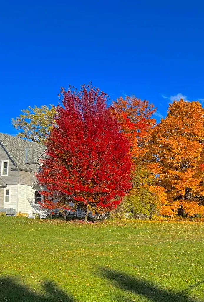 63 Adams School Road Grand Isle VT 05458