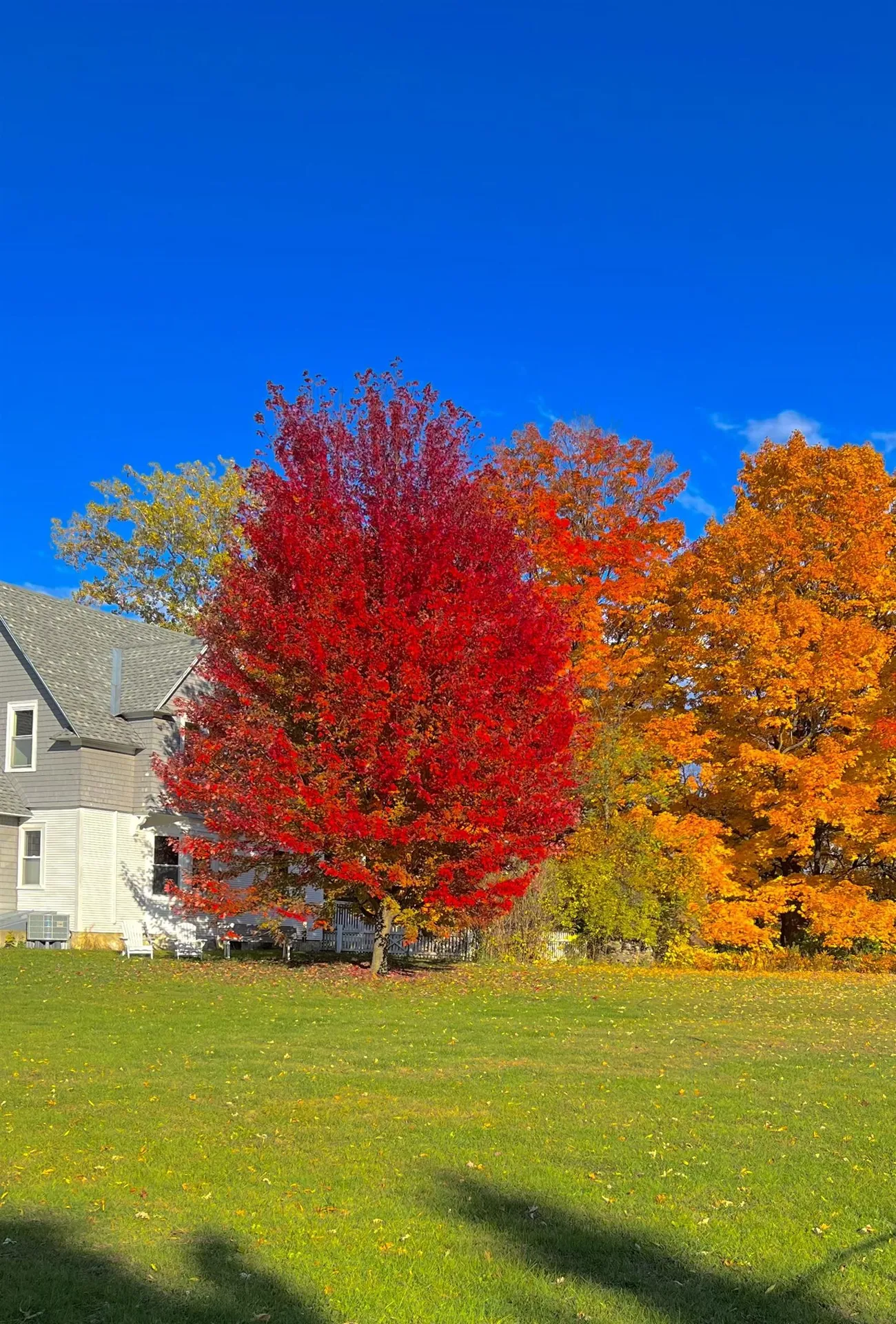 63 Adams School Road Grand Isle VT 05458