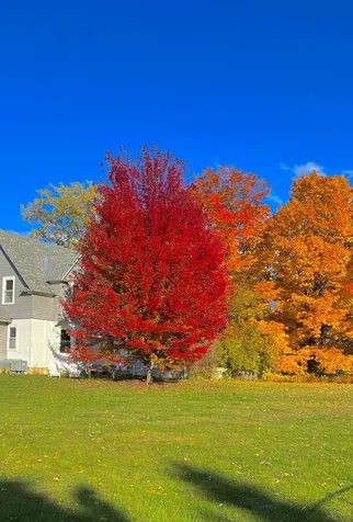 63 Adams School Road Grand Isle VT 05458