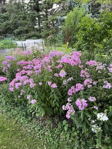 63 Adams School Road Grand Isle VT 05458