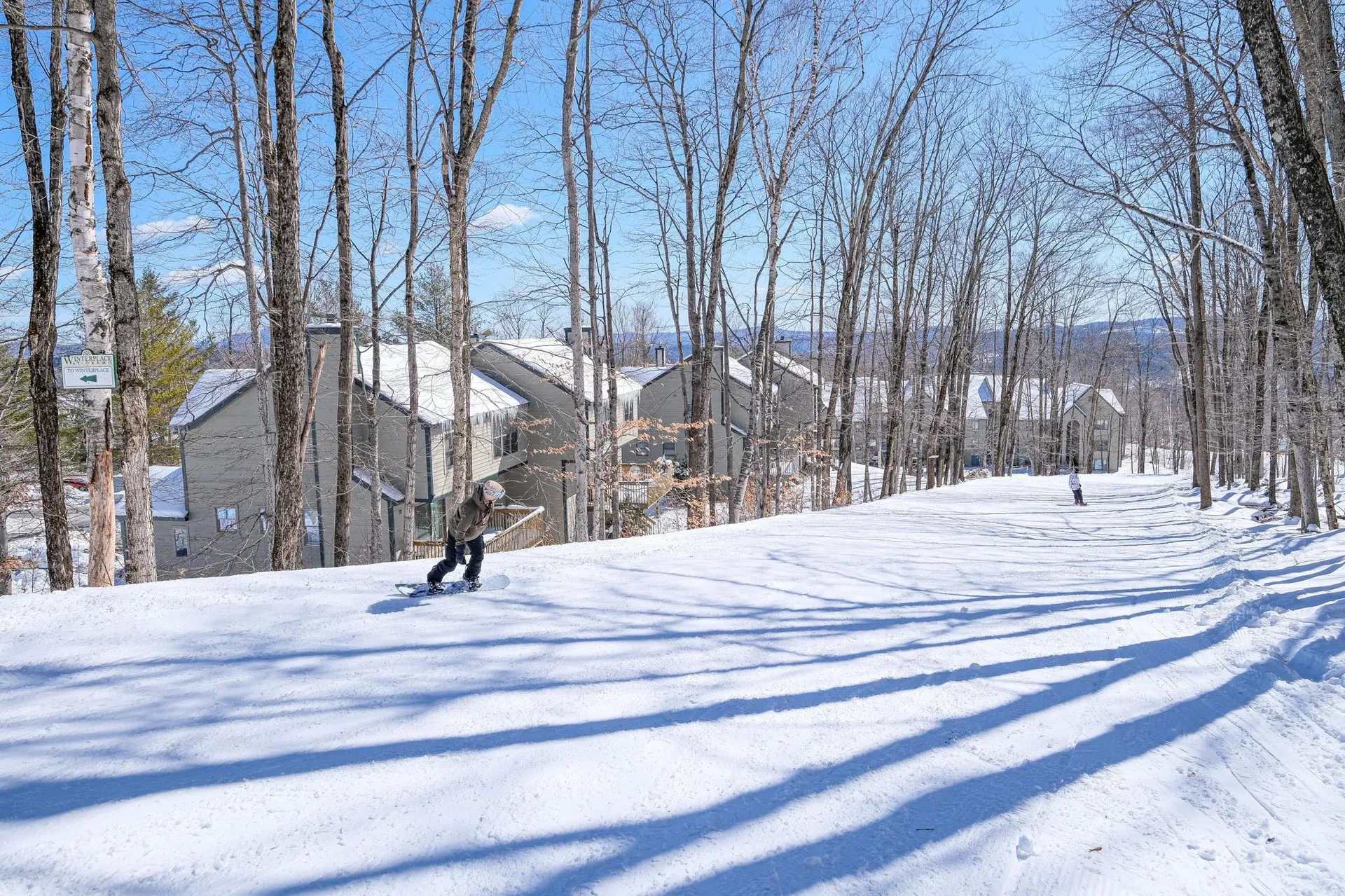 81 White Loop Ludlow VT 05149