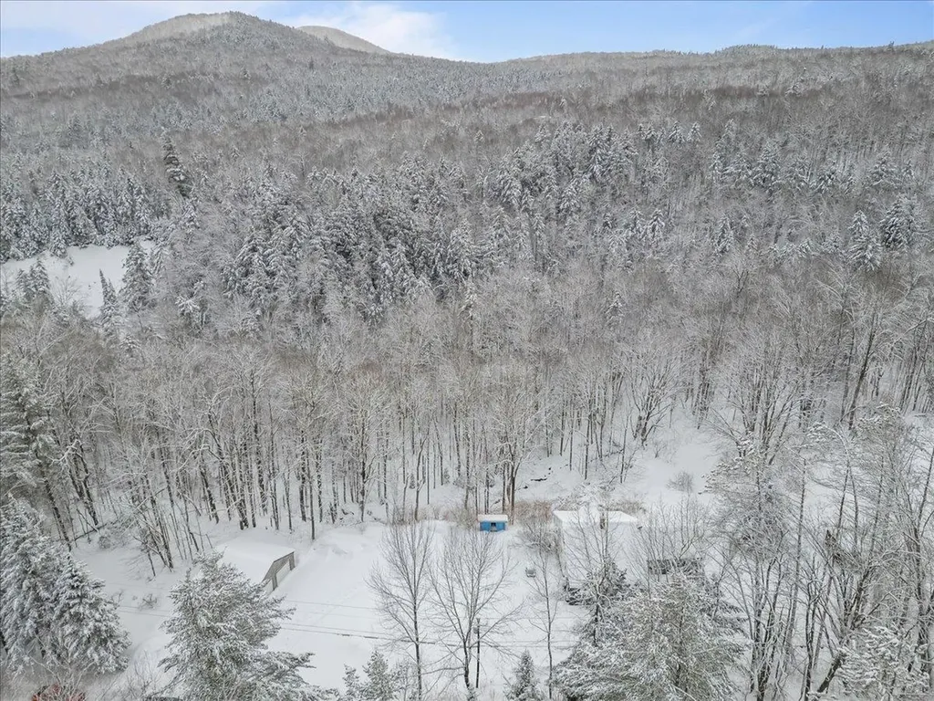 516 Minister Brook Road Worcester VT 05682