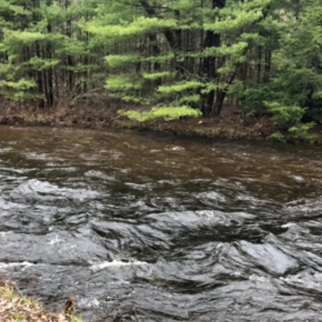 86 Bearcamp Highway Tamworth NH 03883