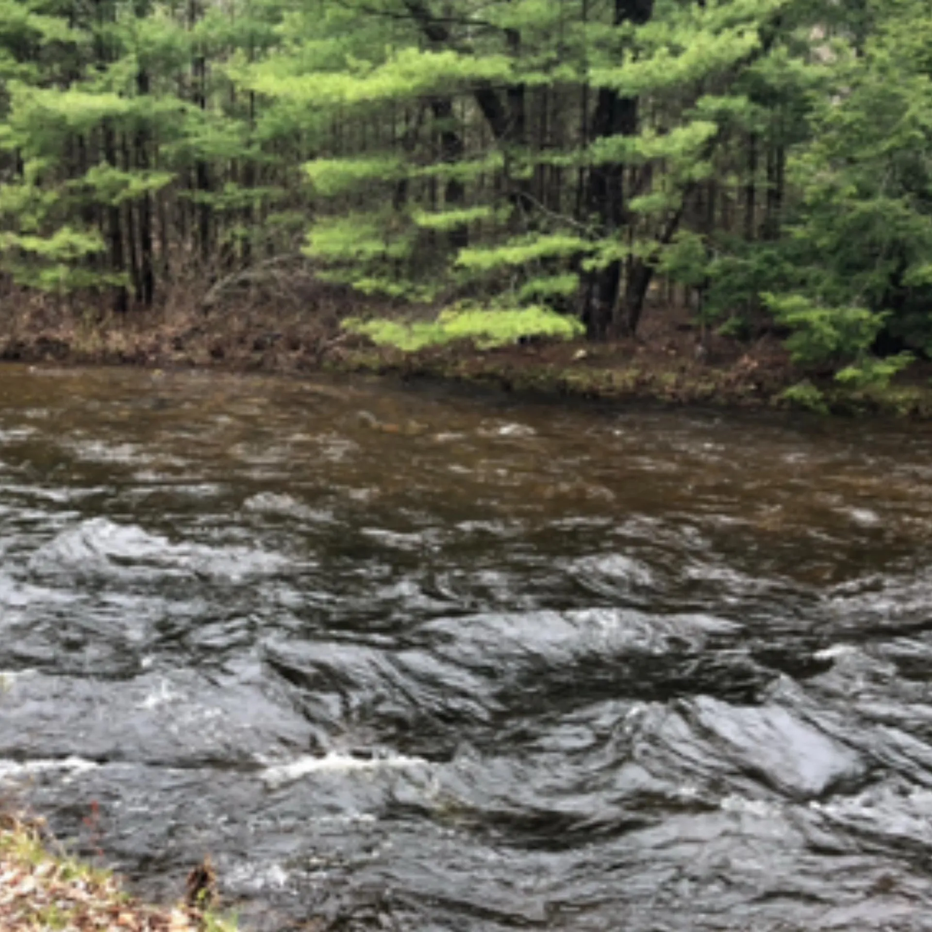 86 Bearcamp Highway Tamworth NH 03883