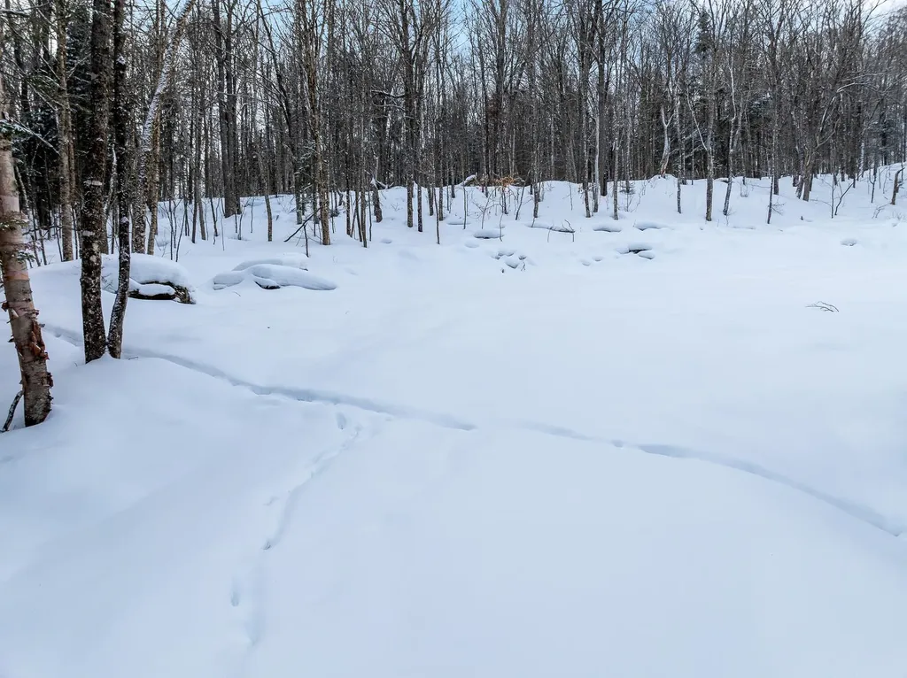 25 Spooner Road Pittsburg NH 03592