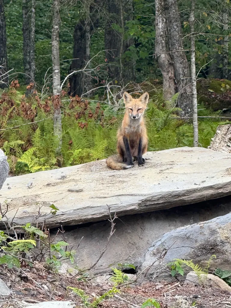 25 Spooner Road Pittsburg NH 03592