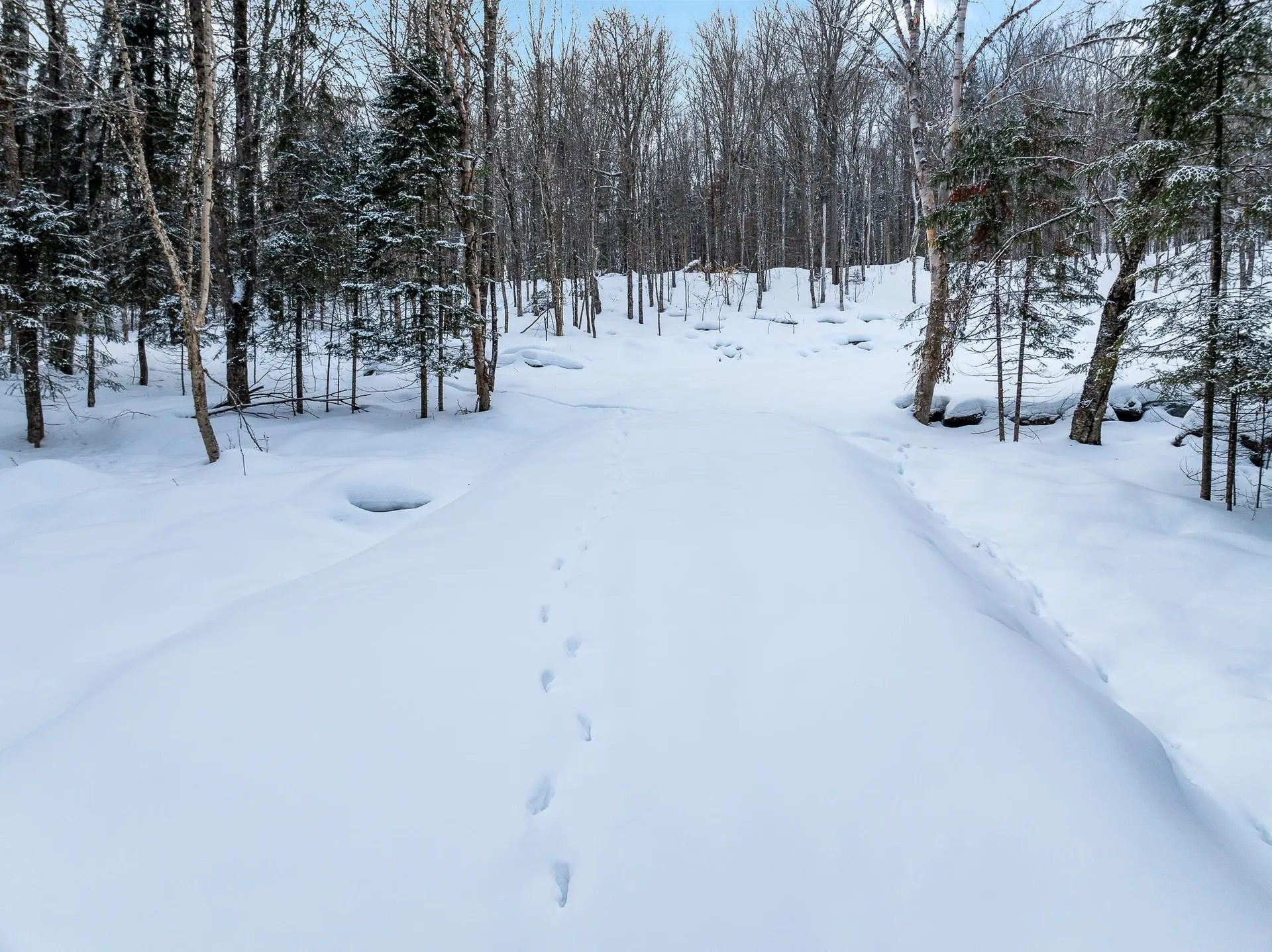 25 Spooner Road Pittsburg NH 03592