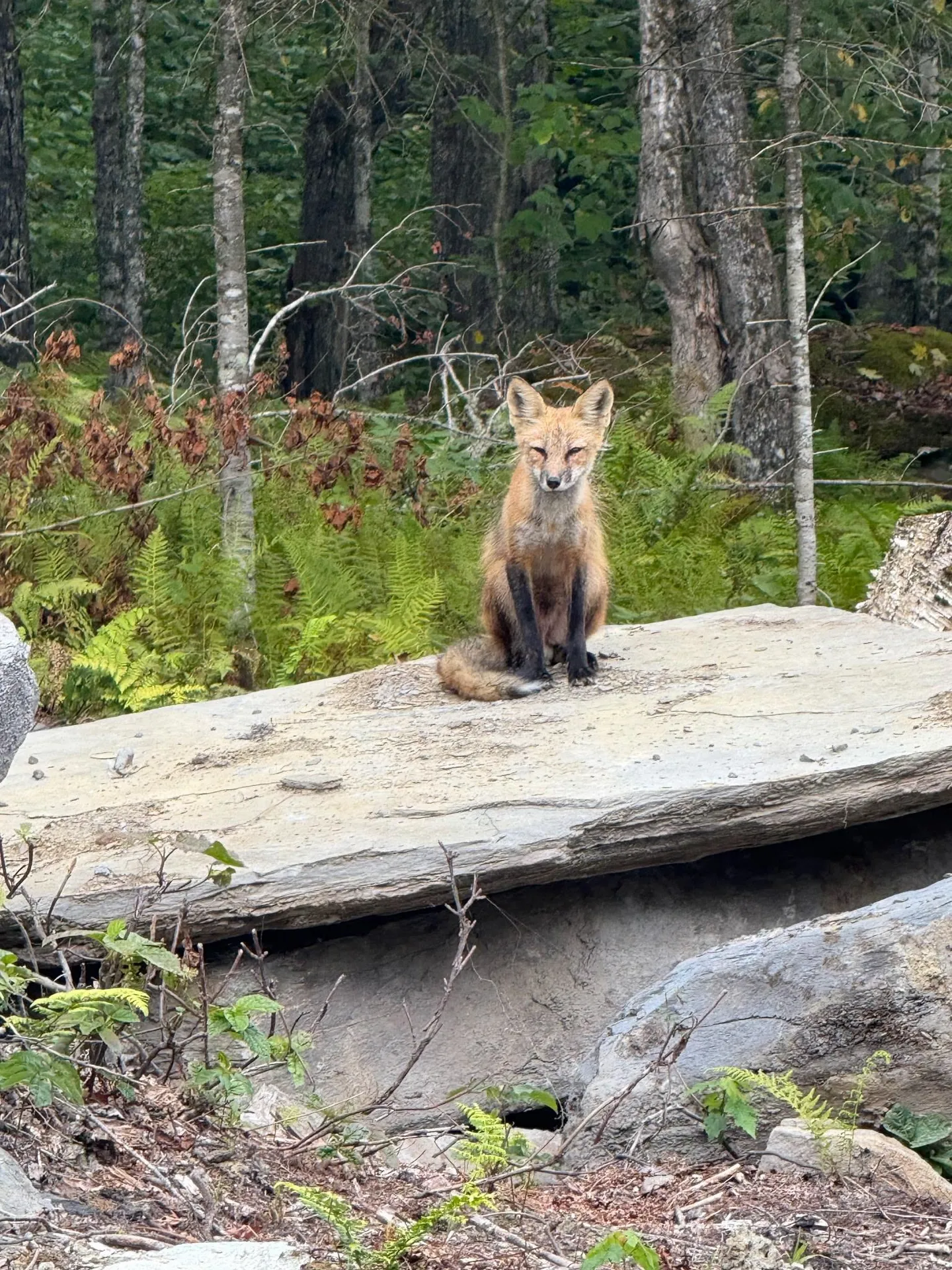 25 Spooner Road Pittsburg NH 03592