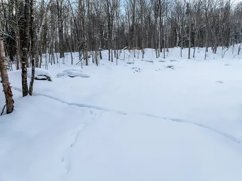 25 Spooner Road Pittsburg NH 03592