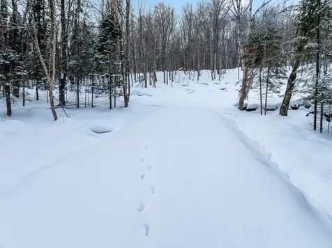 25 Spooner Road Pittsburg NH 03592